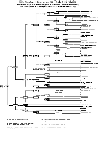 Entscheidungsbaum